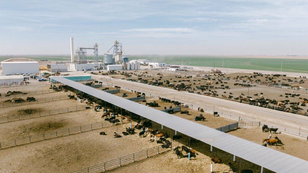 Hoxie Feedyard